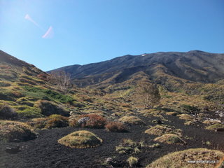 nte Corvo-01-11-2012 11-02-15